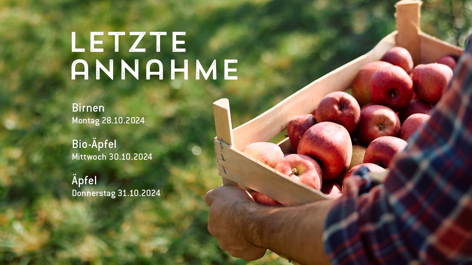 Letzte Obstannahme